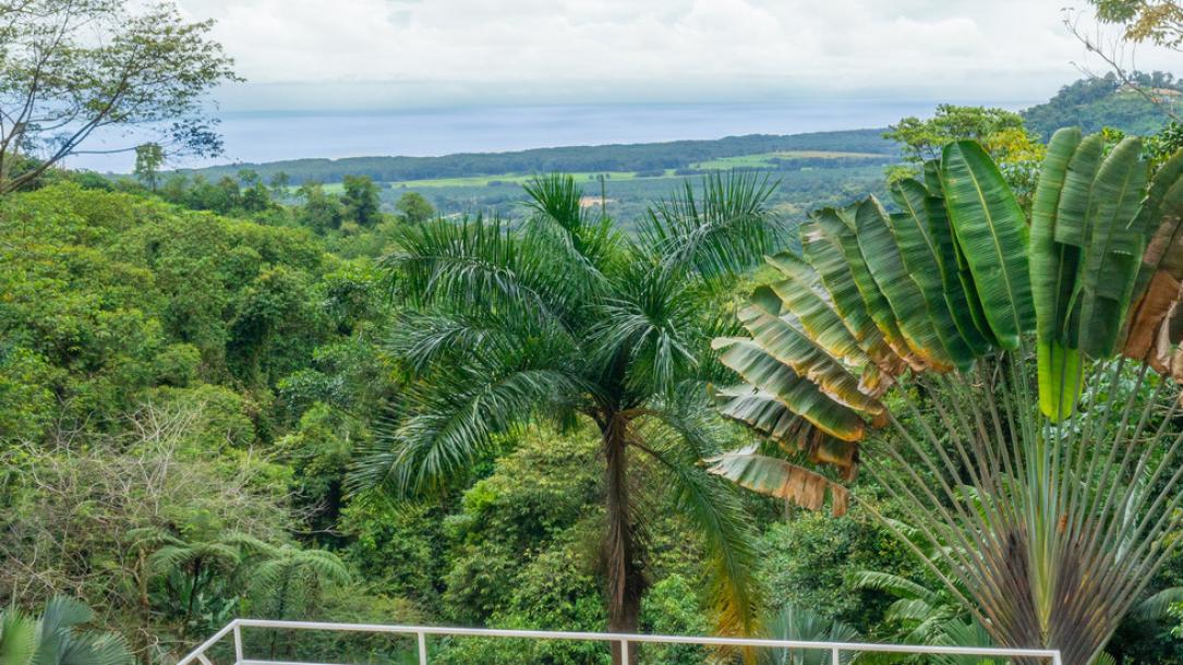 Secluded House Surrounded by Tropical Rainforest in Portalon-19