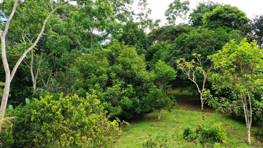 Riverfront Home Near San Isidro Surrounded By Mature Fruit Trees-4